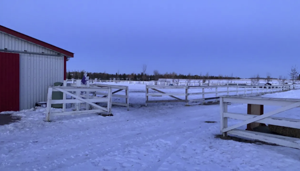 Paradise Acres Ranch | 26212 Township Rd 552, Sturgeon County, AB T8R 2E1, Canada | Phone: (780) 805-6073