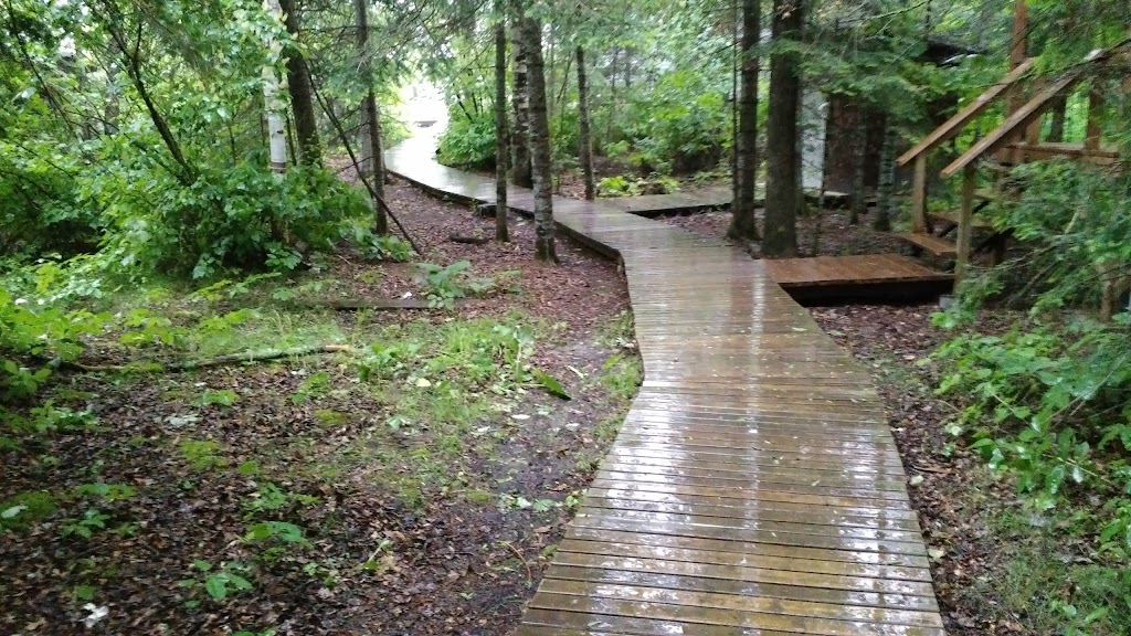 Manitoba Pioneer Camp | Kenora, Unorganized, ON P0X 1E0, Canada | Phone: (204) 788-1070