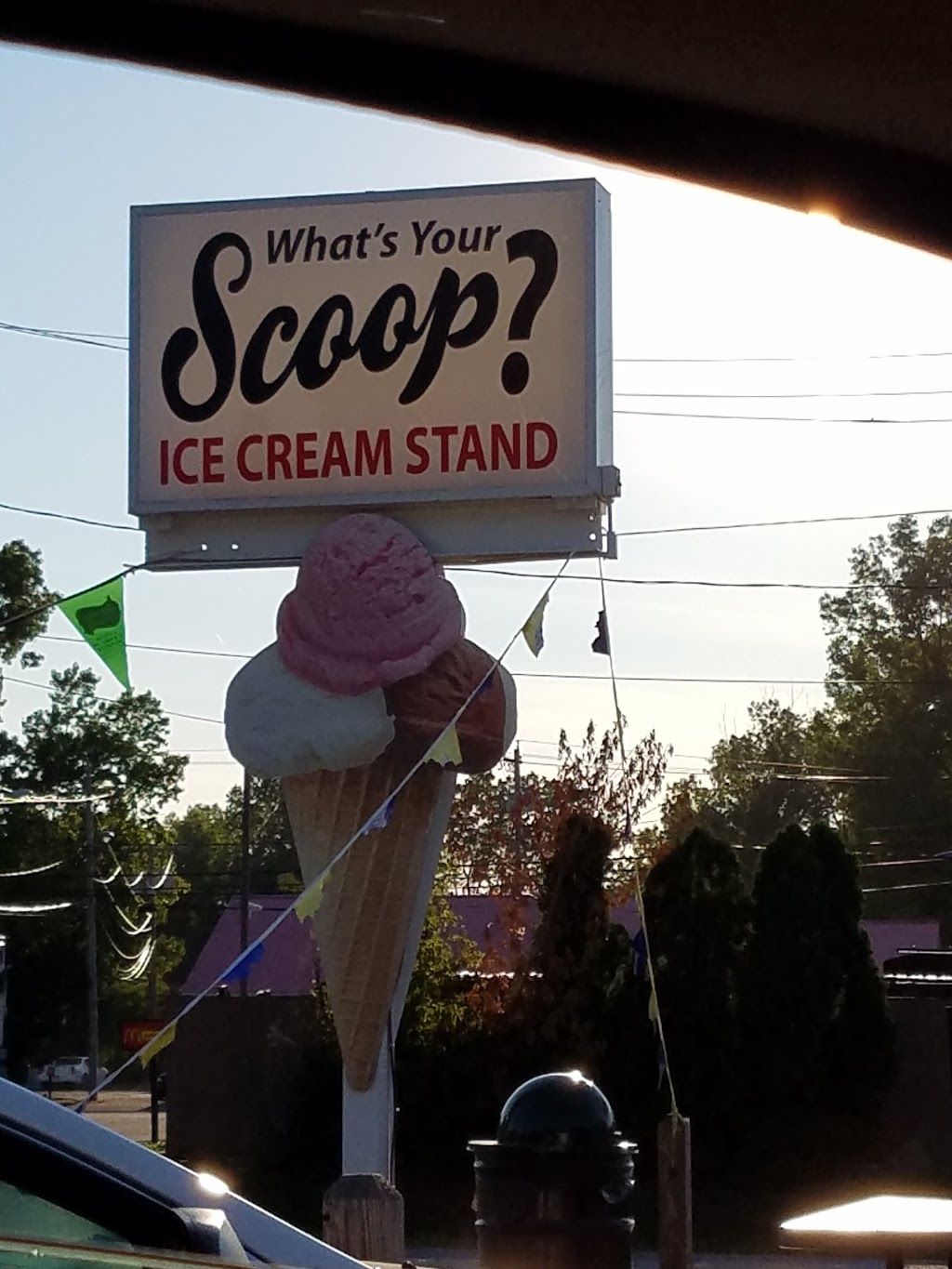 Whats Your Scoop? | 6501 Wheeler Rd, Lockport, NY 14094, USA | Phone: (716) 433-1389