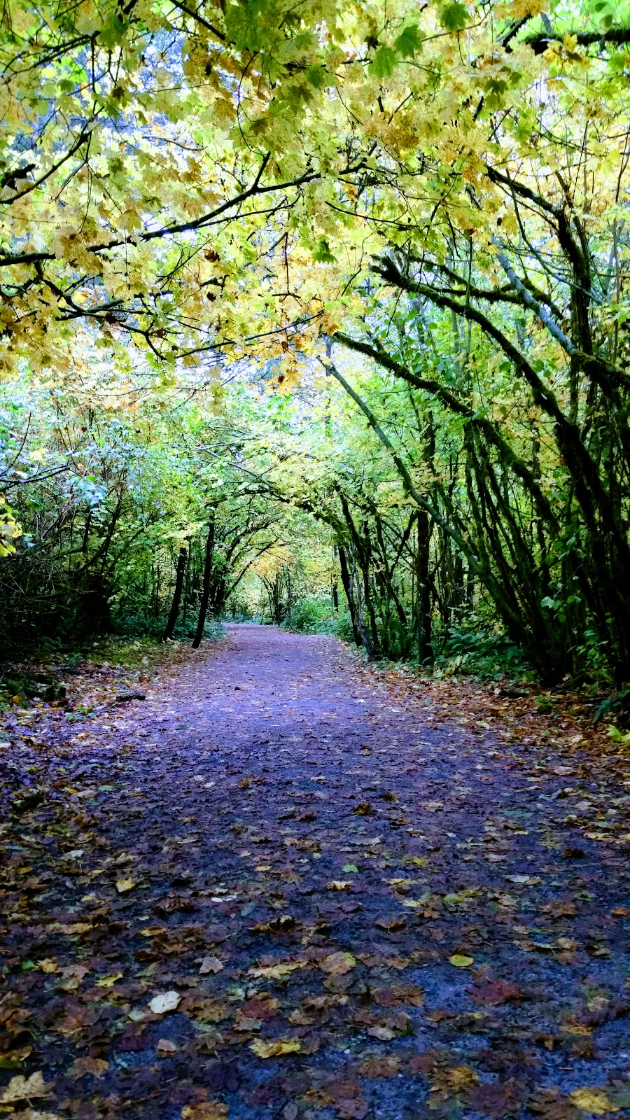 Campbell Valley Regional Park | 20290 16 Ave, Langley City, BC V2Z 1W5, Canada | Phone: (604) 530-4983