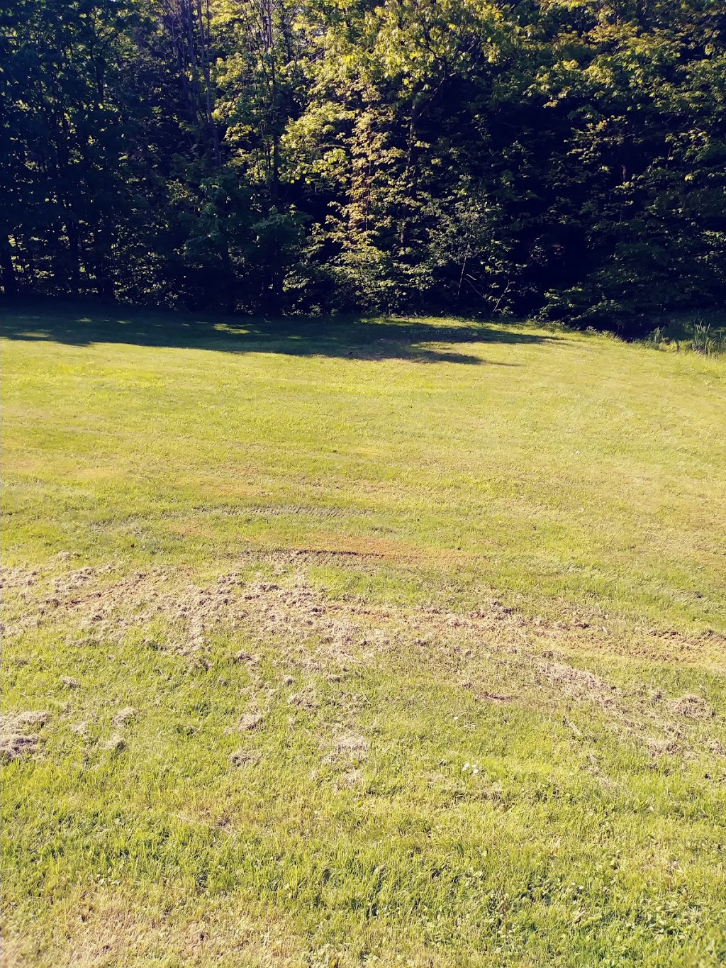 The Ravine Disc Golf Course | 6121 Chestnut Ridge Rd, Orchard Park, NY 14127, USA