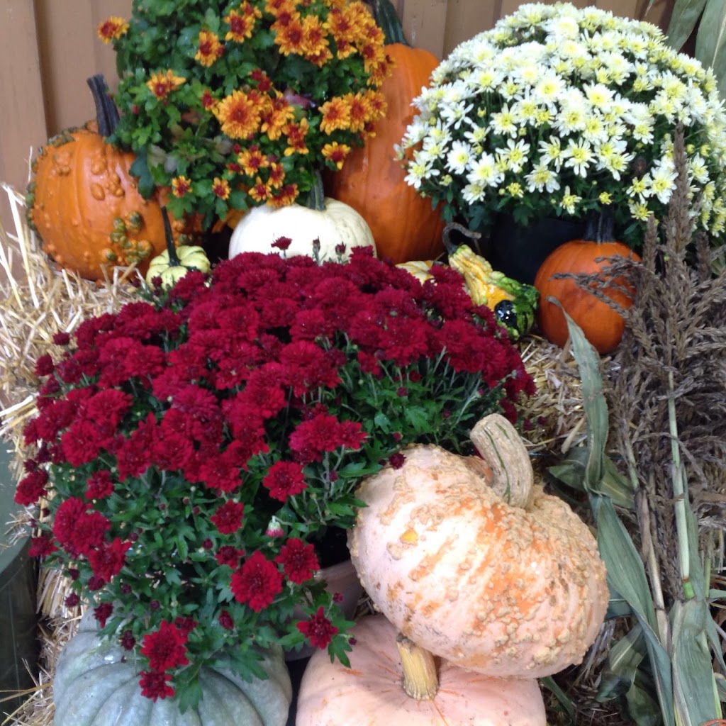Wiles Lake Farm Market & Bakery | 3254 NS-325, Wileville, NS B4V 5G8, Canada | Phone: (902) 543-6082