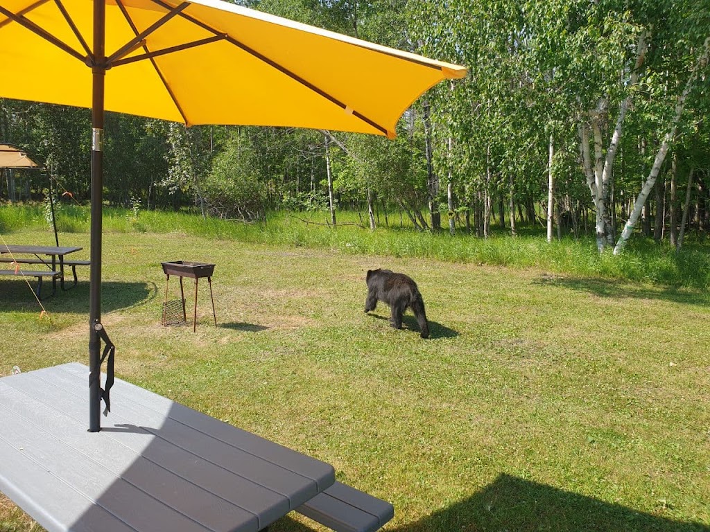 Pinawa Motel | 2 Vanier Ave, Pinawa, MB R0E 1L0, Canada | Phone: (204) 753-2357
