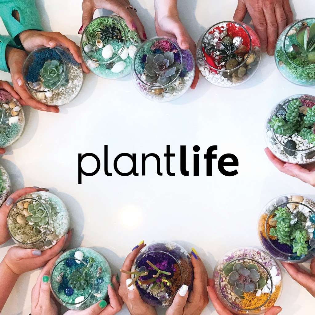 Plant Life | 522 Whitewood Crescent, Saskatoon, SK S7J 4L1, Canada | Phone: (306) 514-2251