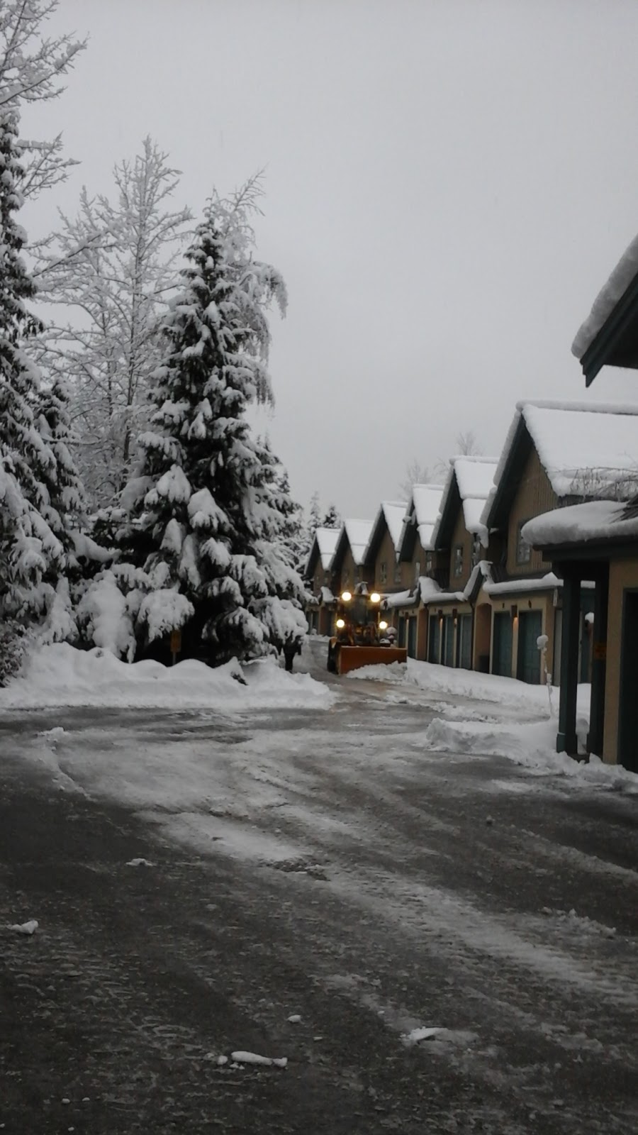 Snowbird | 4865 Painted Cliff Rd, Whistler, BC V0N 1B4, Canada | Phone: (800) 665-5858