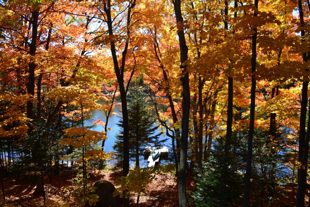 Chalet Le Bois Rond | --dHoward, 61 1re Rue, Saint-Adolphe-dHoward, QC J0T 2B0, Canada | Phone: (514) 754-3465