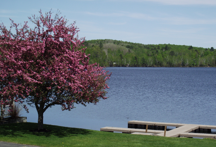 The Lakefront Inn | 127 Cross St, Island Pond, VT 05846, USA | Phone: (802) 723-6507