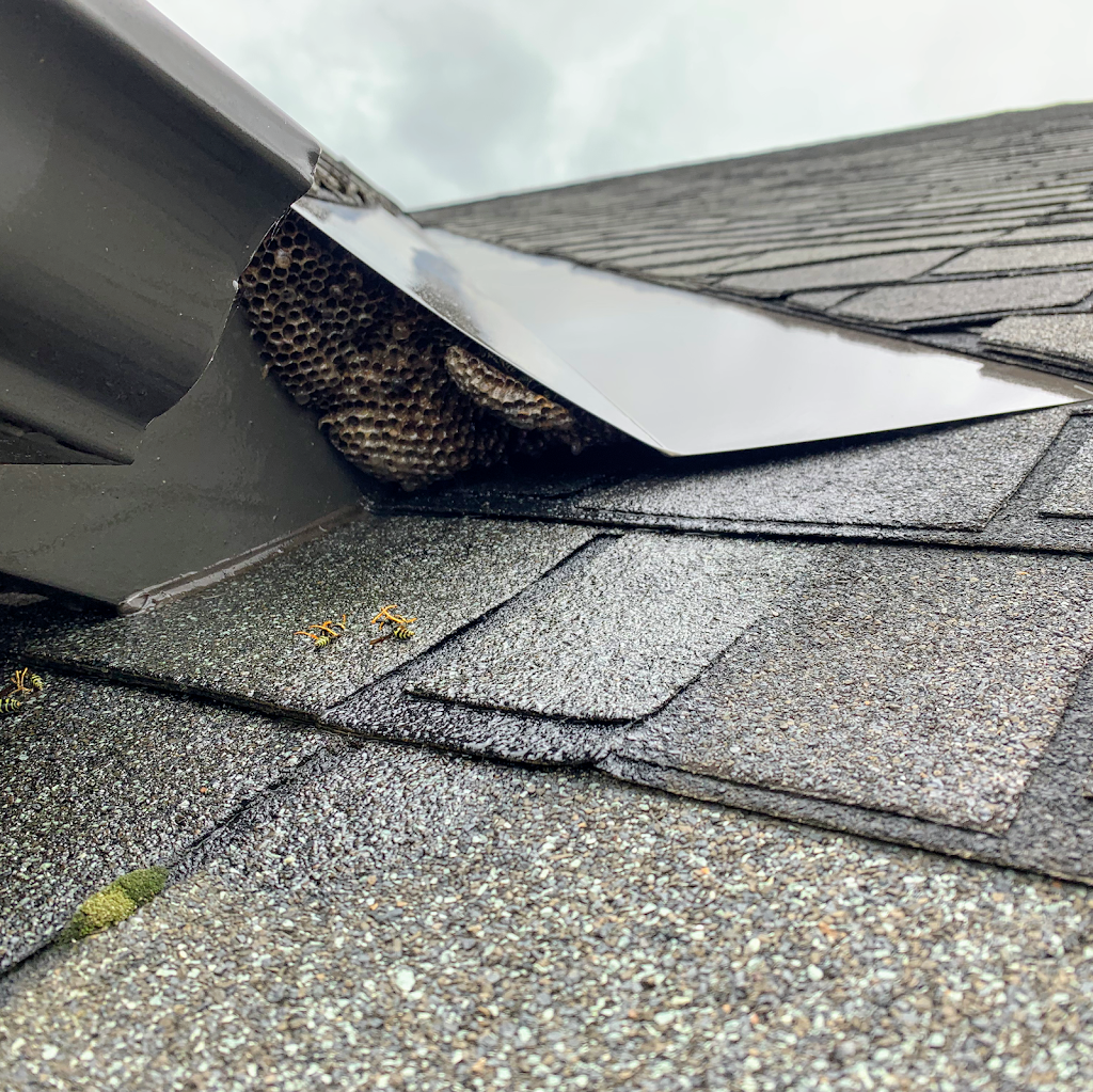 Mr. Pests Control Ottawa | 823 Cedar Creek Dr, Ottawa, ON K1T 0N5, Canada | Phone: (613) 620-1668