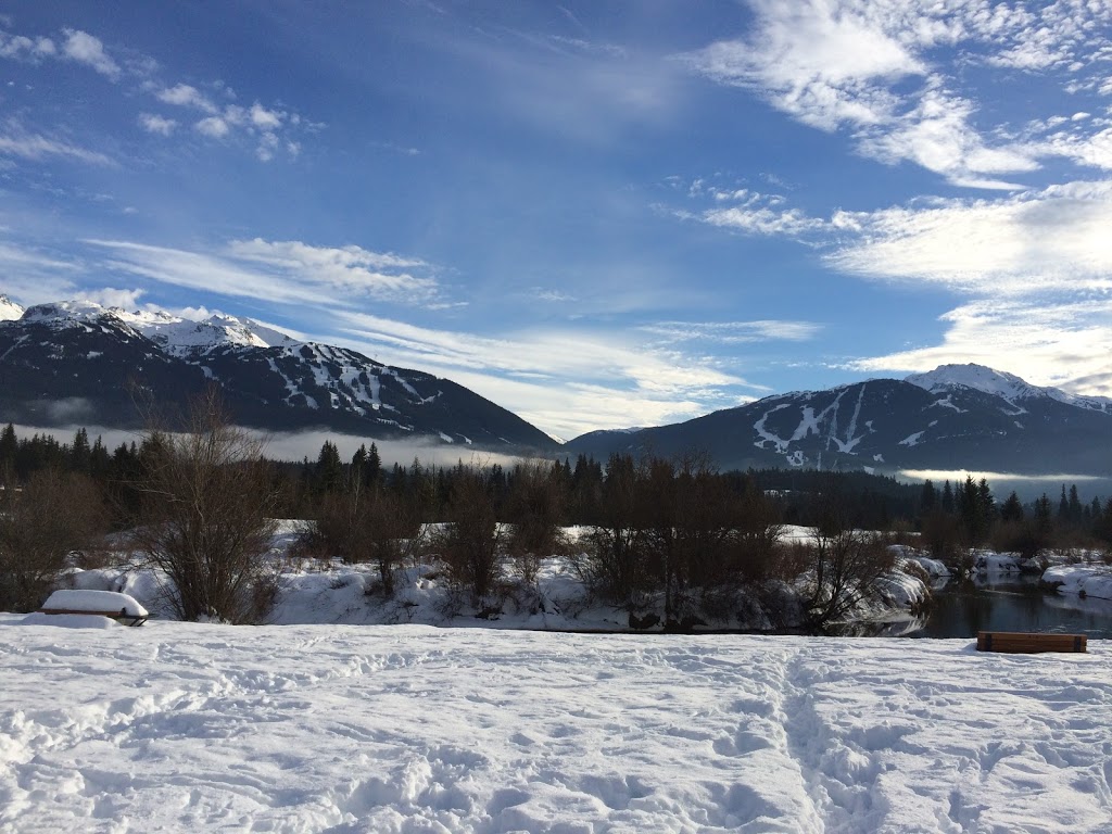 Sea to Sky Life and Recovery Coaching | 1527 Eagle Run Dr, Brackendale, BC V0N 1H0, Canada | Phone: (778) 987-5675
