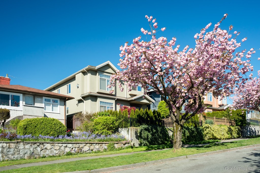 Falaise Park | 3434 Falaise Ave, Vancouver, BC V5M, Canada | Phone: (604) 257-8158