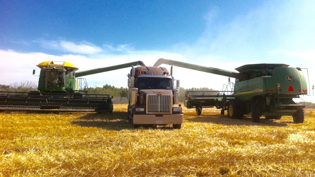 Allison Farms Harvesting | point of interest | 22568 TWP 384, Delburne, AB T0M 0V0, Canada | 4035852097 OR +1 403-585-2097