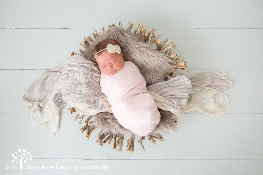 Charmaine Toews Photography | 28 Sterling Dr, Mitchell, MB R5G 2M7, Canada | Phone: (204) 326-9699