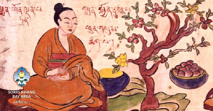 Traditional Tibetan Medicine | 10716 142 St NW, Edmonton, AB T5N 2P7, Canada | Phone: (403) 383-6019