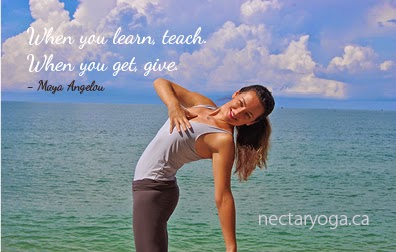 Nectar Yoga | 1258 Miller Rd, Bowen Island, BC V0N 1G1, Canada | Phone: (604) 947-6999