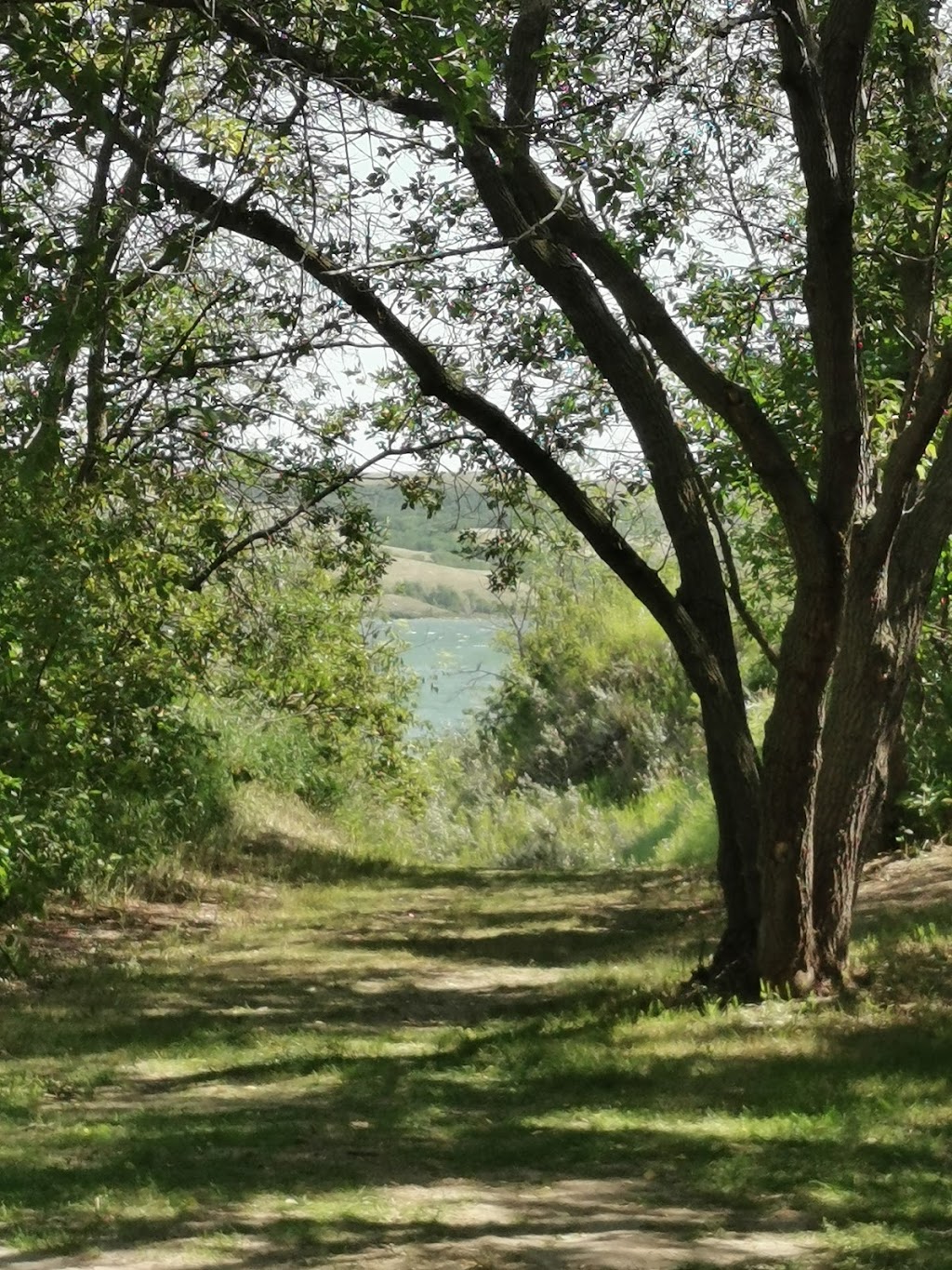 Buffalo View Campground | Unnamed Road, 1P0, Findlater, SK S0H 4C0, Canada | Phone: (306) 693-7453