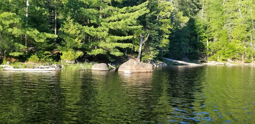 Tarmigan Camping | 907 CH Du Lac Poisson Blanc, Notre-Dame-du-Laus, QC J0W, Canada | Phone: (819) 767-2559