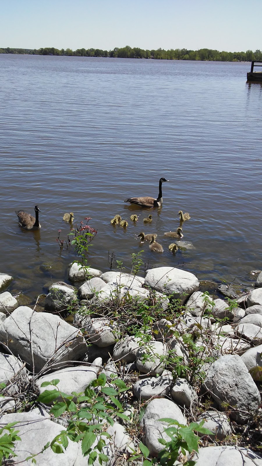 Parc Esther-Blondin | Rue Sainte Marguerite, Vaudreuil-Dorion, QC J7V 0H4, Canada