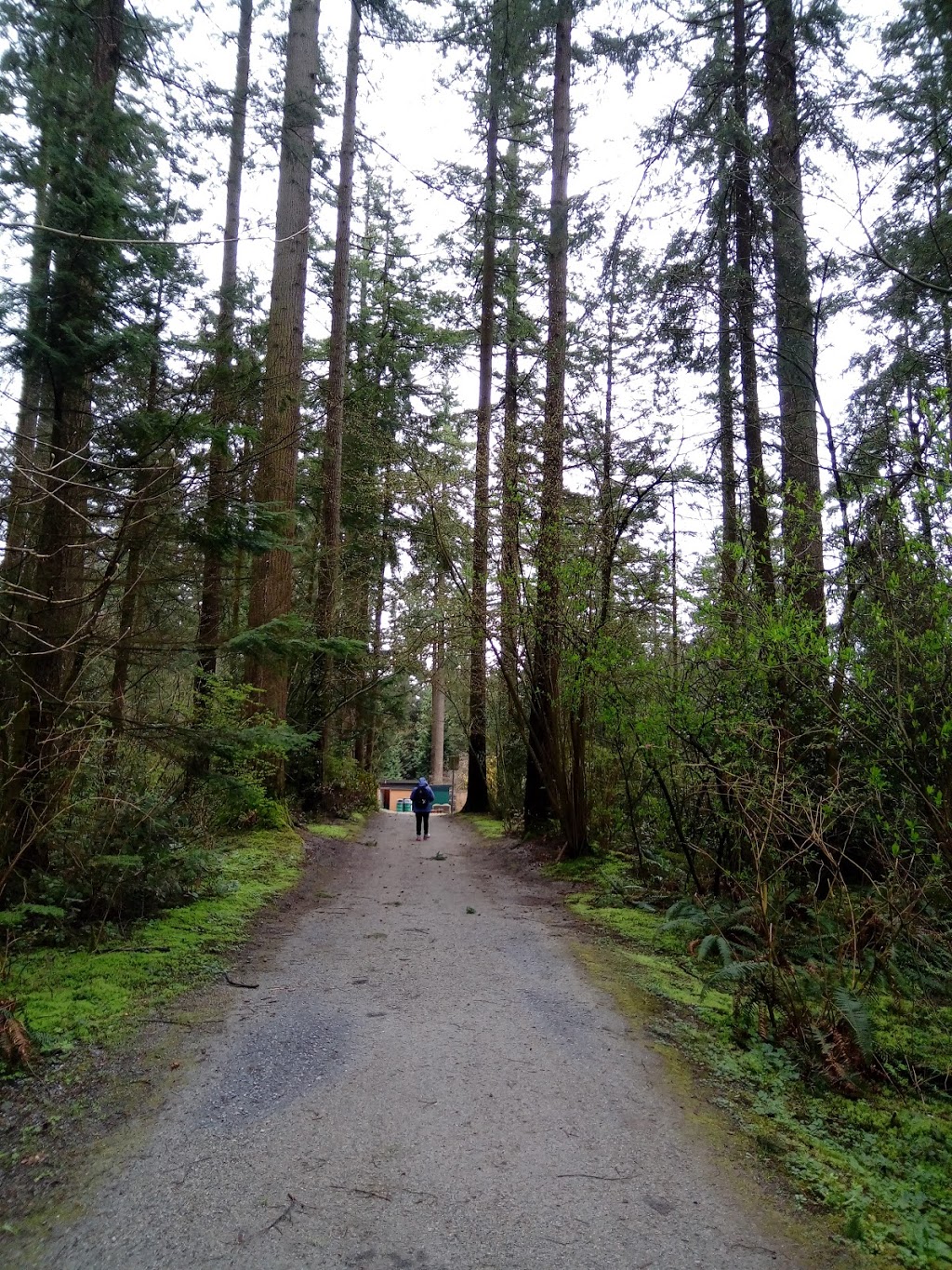 Central Park | Burnaby, BC V5S 3R2, Canada | Phone: (604) 294-7450