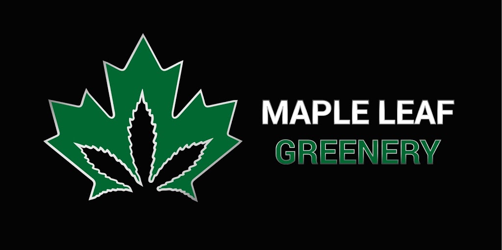 Maple Leaf Greenery | 8322 Main St, Osoyoos, BC V0H 1V0, Canada | Phone: (250) 495-1992