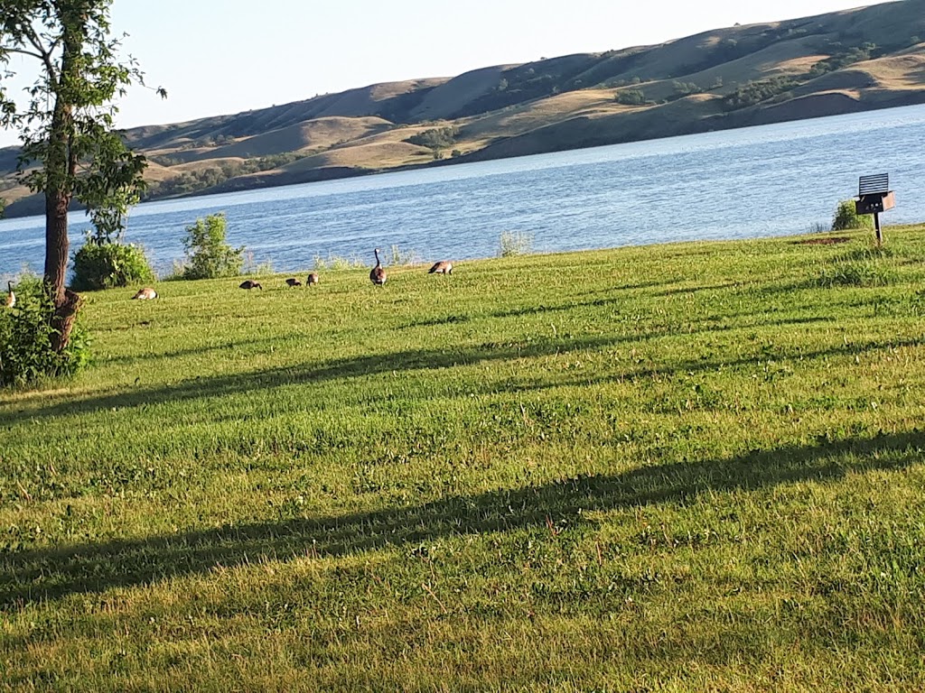 Elm View Campground | Unnamed Road, 1P0, Findlater, SK S0H 4C0, Canada | Phone: (306) 694-3320