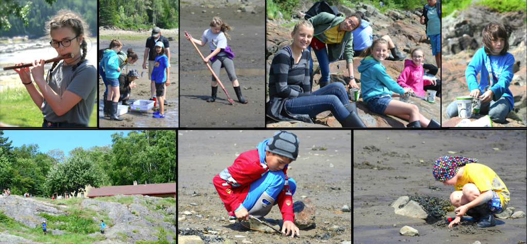 LERE de lEstuaire | 18 Rue Alain Mailloux, La Malbaie, QC G5A 2E7, Canada | Phone: (514) 385-0438