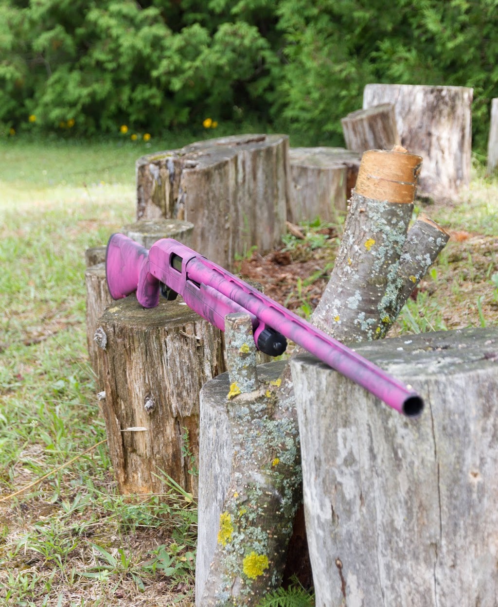 Dufferin County Firearm Finishes | 6141 Second Line, Orton, ON L0N 1N0, Canada | Phone: (905) 866-8784