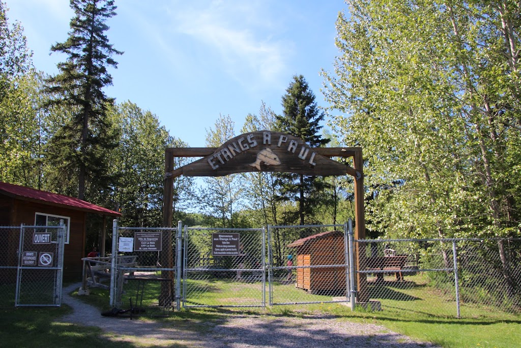 Camping in the Garden of My Father | 3736 Chemin St Louis, La Baie, QC G7B 4M8, Canada | Phone: (877) 544-6486