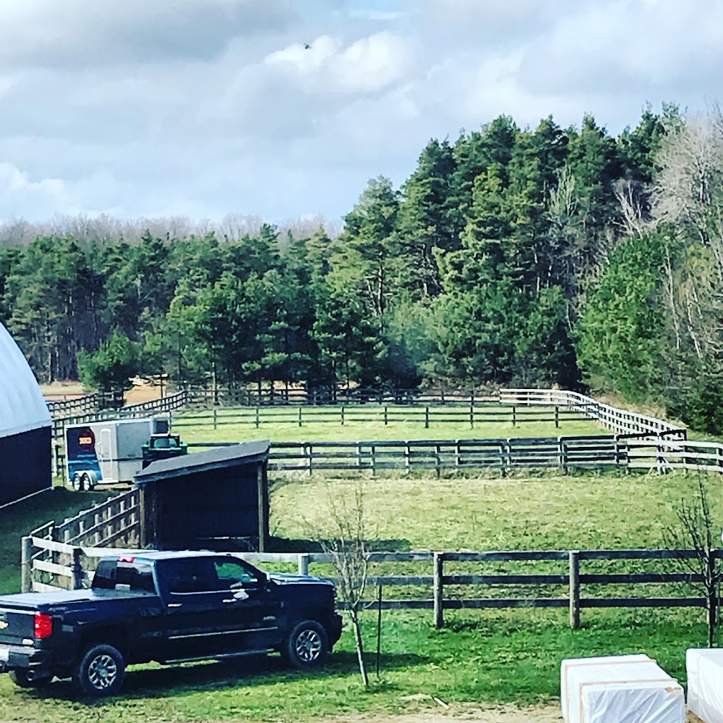 Skyland Stables | 5450 Side Rd 25, Utopia, ON L0M 1T0, Canada | Phone: (289) 221-8878