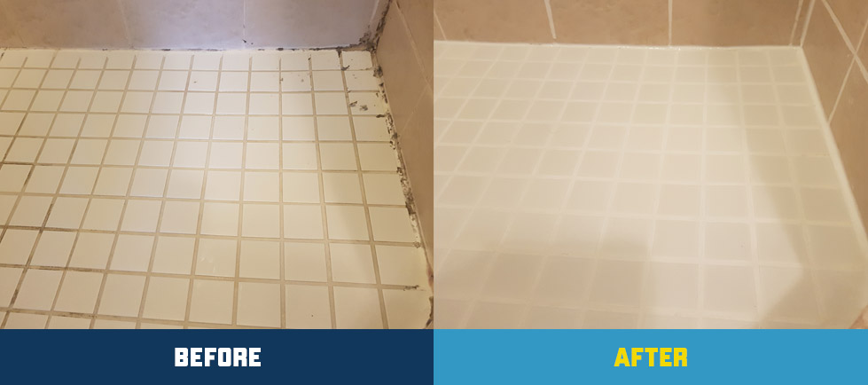 Badgrout | 44 Meteor Blvd, Hamilton, ON L8E 4W7, Canada | Phone: (905) 906-5219