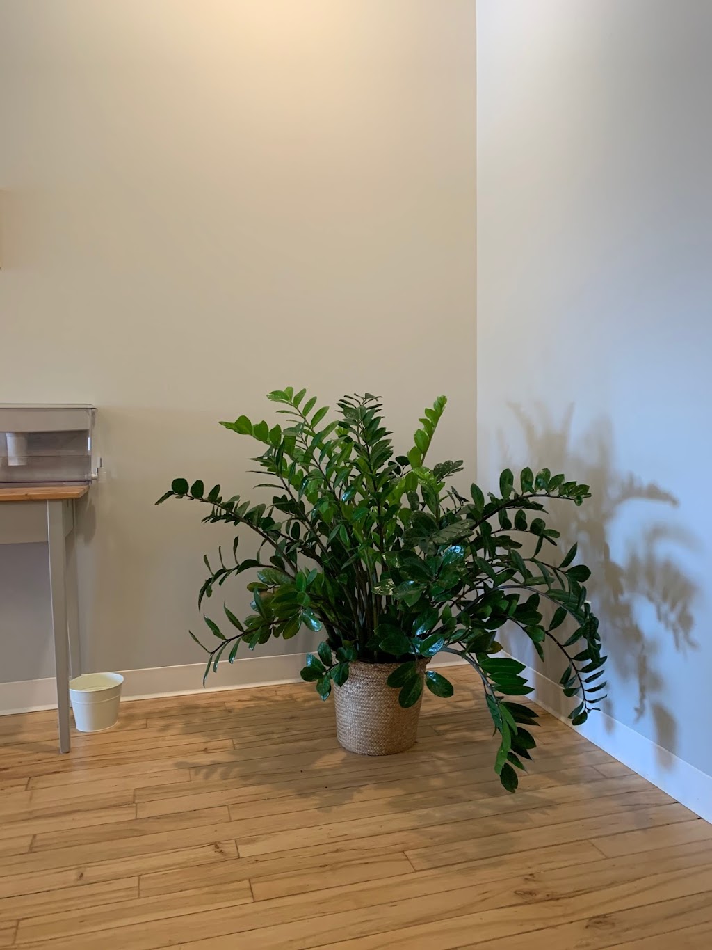 Shen Dao Acupuncture | Winnipeg | 165 Stafford St #217, Winnipeg, MB R3M 2W9, Canada | Phone: (204) 887-6128