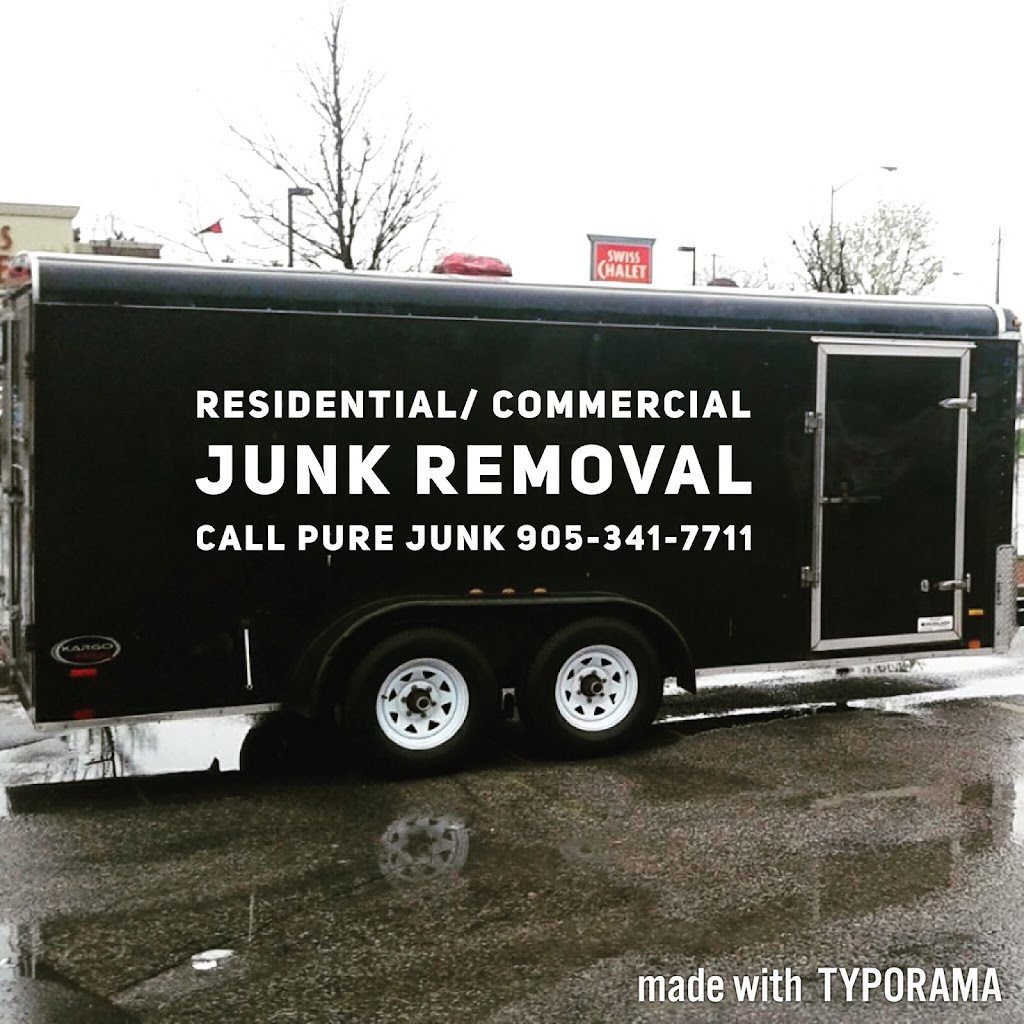 Pure Junk | 18 Murray St, St. Catharines, ON L2N 5S5, Canada | Phone: (905) 341-7711