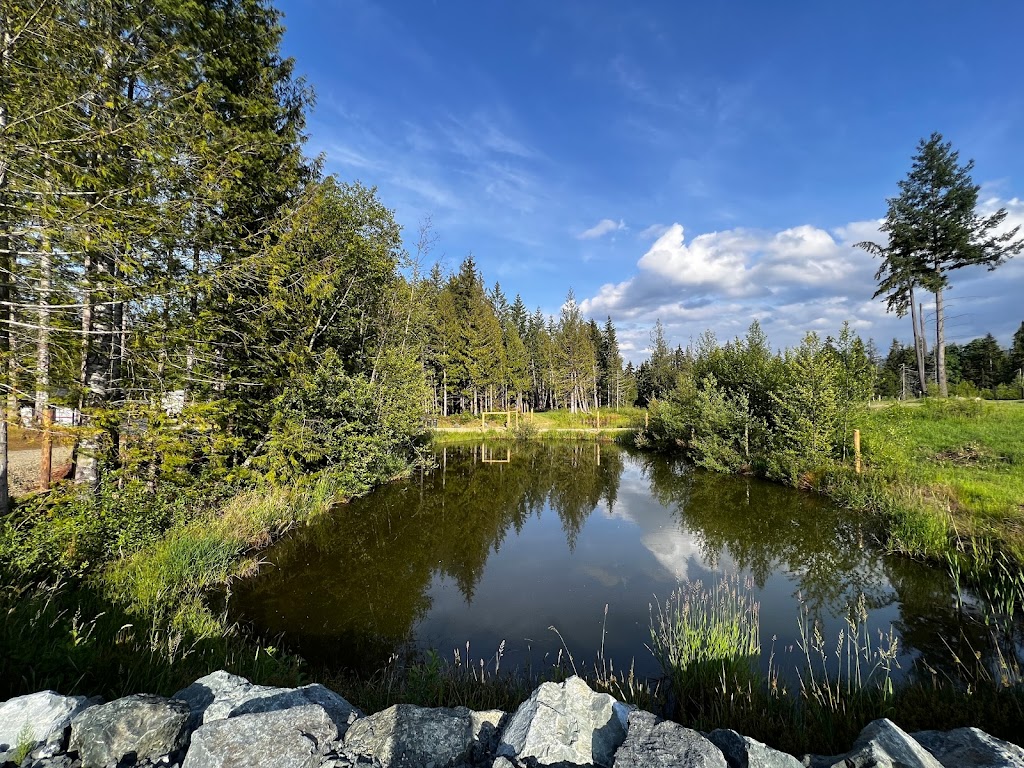 Lily Pond RV | 2540 MacPherson Rd, Qualicum Beach, BC V9K 2L7, Canada | Phone: (250) 951-1616