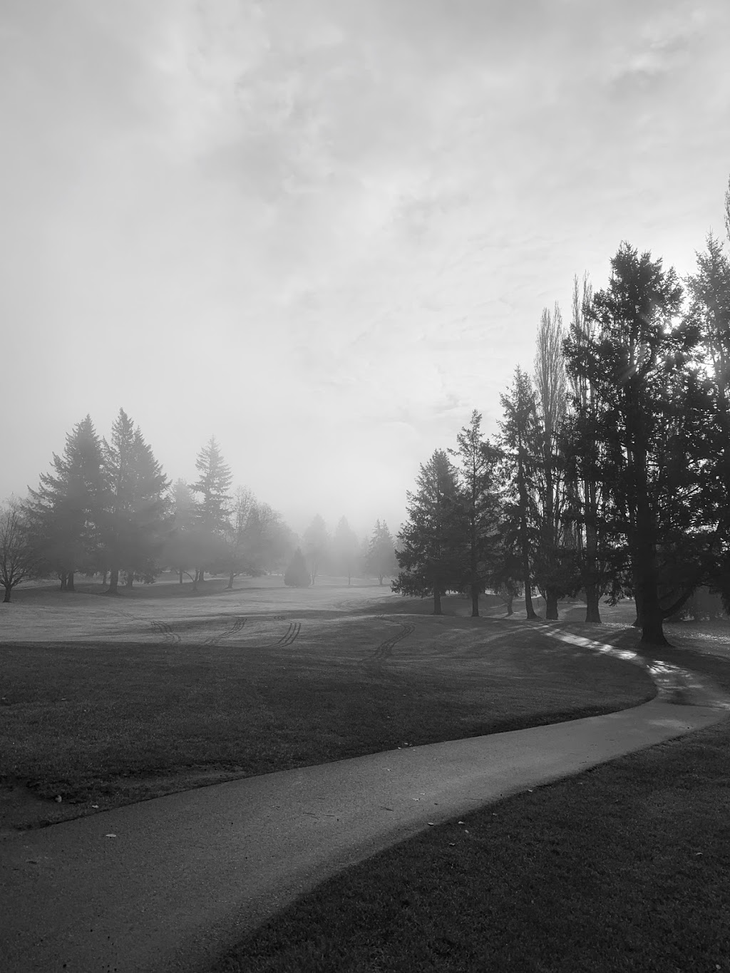 Ledgeview Golf Club | 35997 McKee Rd, Abbotsford, BC V3G 2L6, Canada | Phone: (604) 859-8993