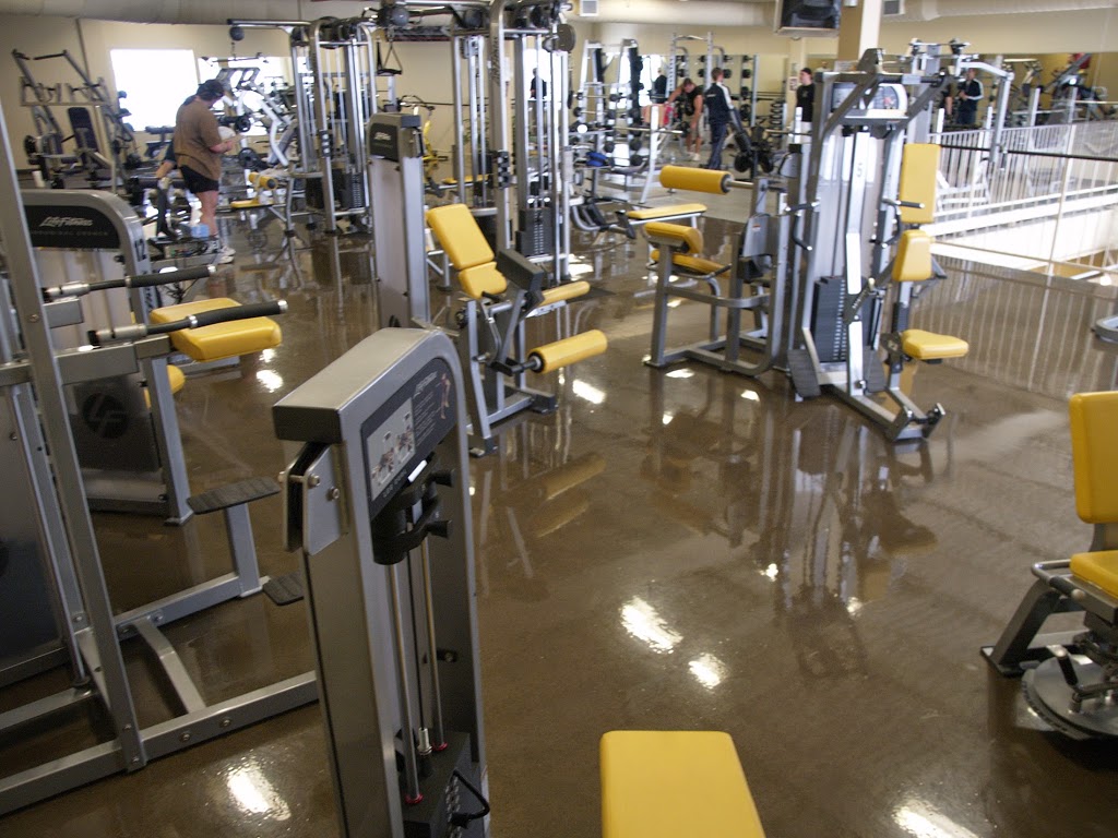 Gym Elitys | 50 Rue de la Gabelle, Varennes, QC J3X 2A2, Canada | Phone: (450) 929-4449