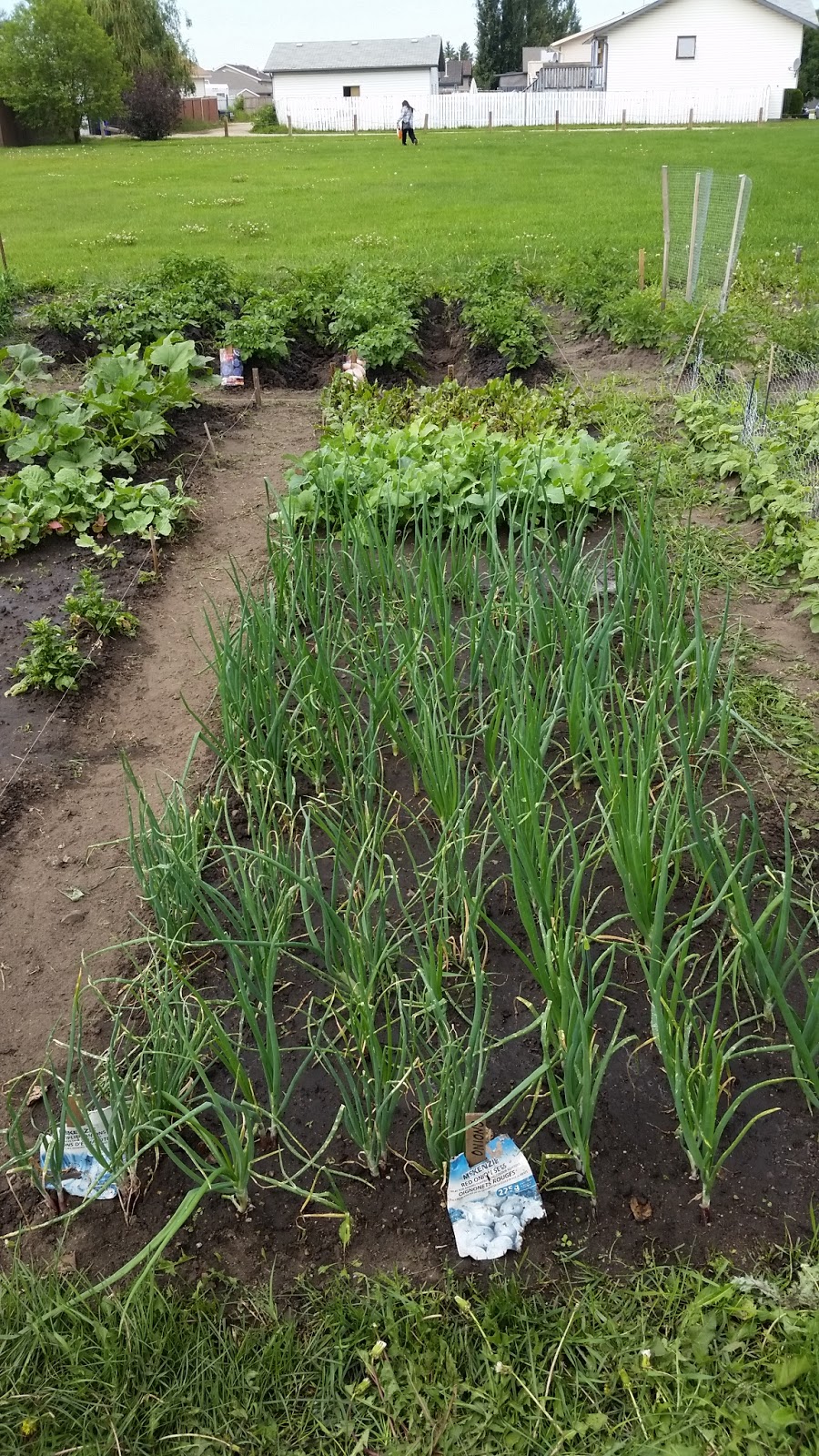 Aspen Community Garden | Aspen Dr, Blackfalds, AB T0M 0J0, Canada | Phone: (403) 885-4677