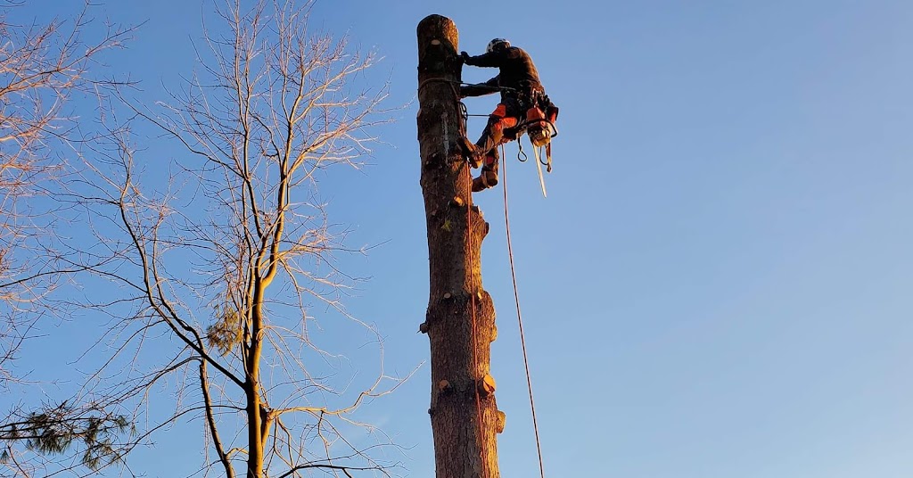 CPM Ltd Csincsik Property Maintenance | 29 Riverview Rd, Ingersoll, ON N5C 4B8, Canada | Phone: (519) 532-4492