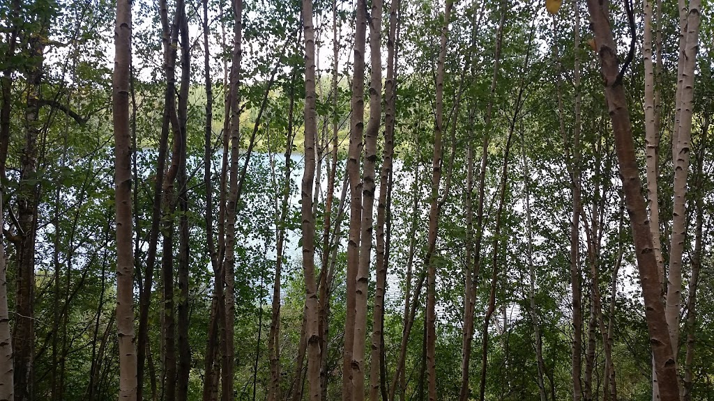Chicakoo Lake Recreation Area | Range Rd 13, Onoway, AB T0E 1V0, Canada