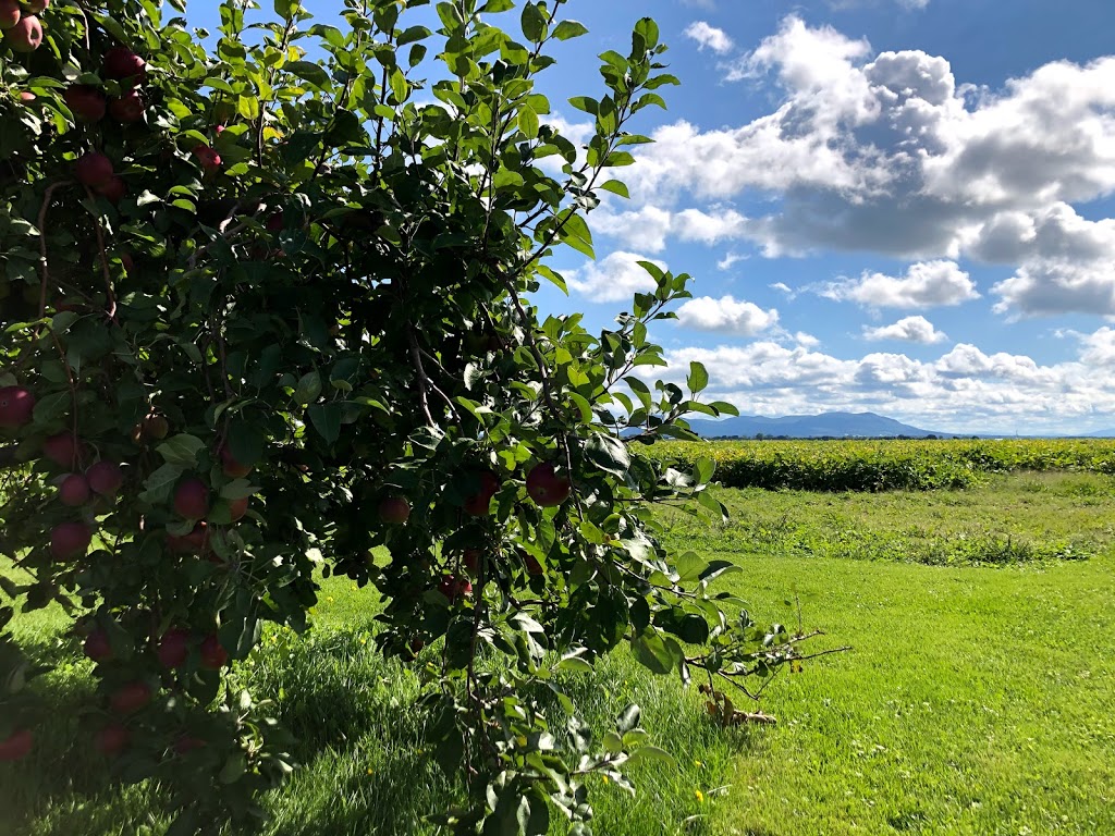 Halte de la Montagne | 342 Rang du Haut Corbin, Saint-Damase, QC J0H 1J0, Canada | Phone: (450) 797-9982