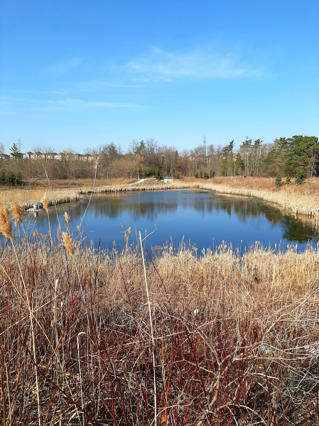 Snuretown Pond West | Brampton, ON L6Y 0G8, Canada | Phone: (905) 874-2000