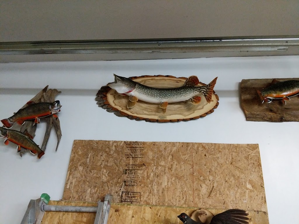 Olheiser Taxidermy | 133 Woolwich St S, Breslau, ON N0B 1M0, Canada | Phone: (519) 648-2835
