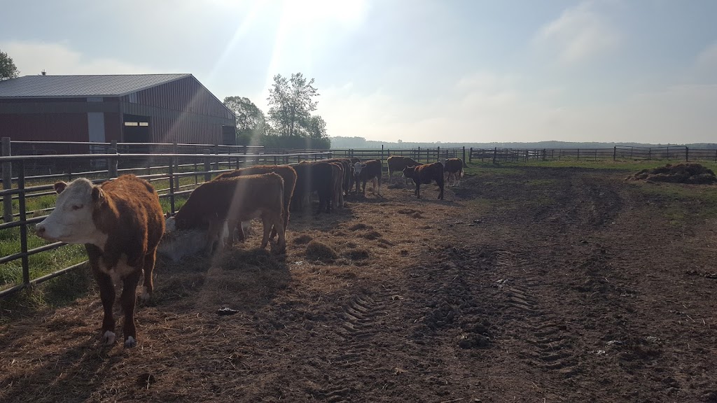 Oakwood Stables | Oakwood Rd 64N, Oakbank, MB R0E 1J0, MB R0E 1J3, Canada | Phone: (204) 224-4048