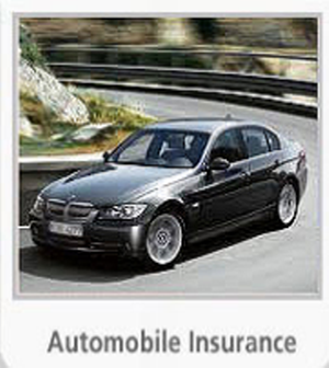 A-Plus Insurance | 1912 26a St SW, Calgary, AB T3E 2B7, Canada | Phone: (403) 452-3957