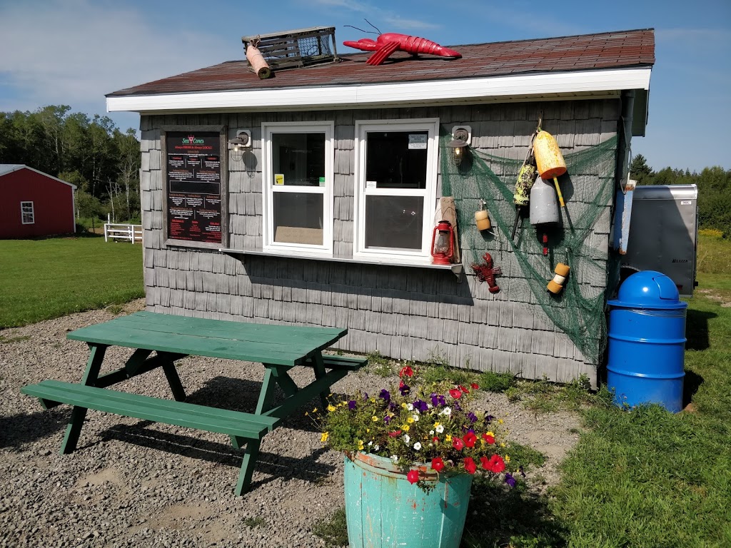 Sea Cones Ice Cream Boat | 3744 NS-359, Centreville, NS B0P 1J0, Canada | Phone: (902) 679-1355