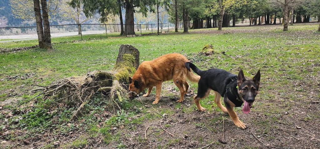 Island 22 dog park | Cartmell Rd, Chilliwack, BC V2P 0C8, Canada | Phone: (778) 836-7335