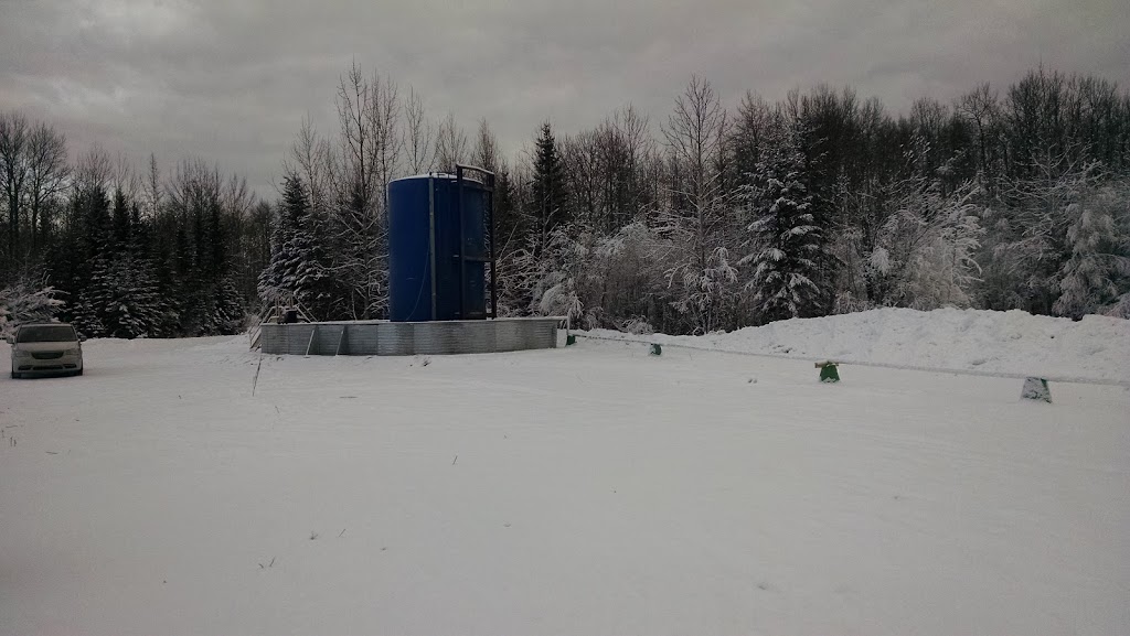 Vulture Energy Ltd. | 133 Springbank Pl SW, Calgary, AB T3H 3S5, Canada | Phone: (403) 669-1621