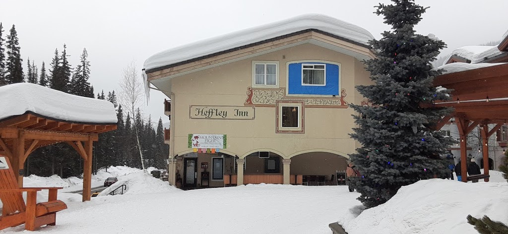 Mountain Tiger | 3185 Creekside Way, Heffley Creek, BC V0E 1Z1, Canada | Phone: (250) 578-0820