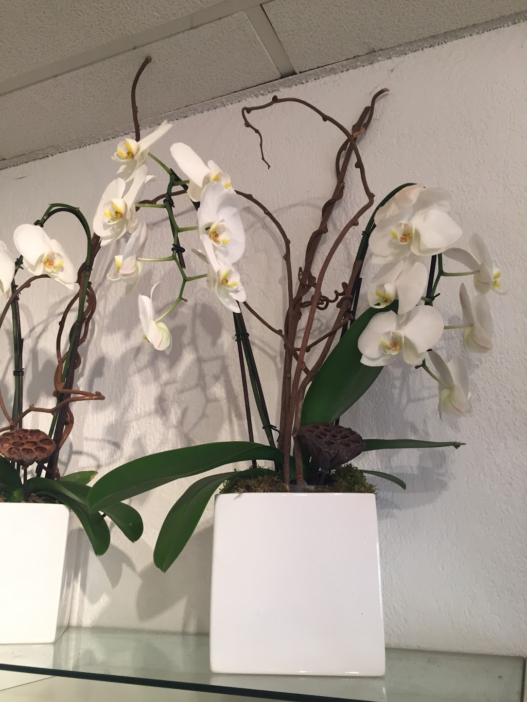 Bloominghill Flowers | 1724 Avenue Rd, North York, ON M5M 3Y6, Canada | Phone: (416) 781-7135