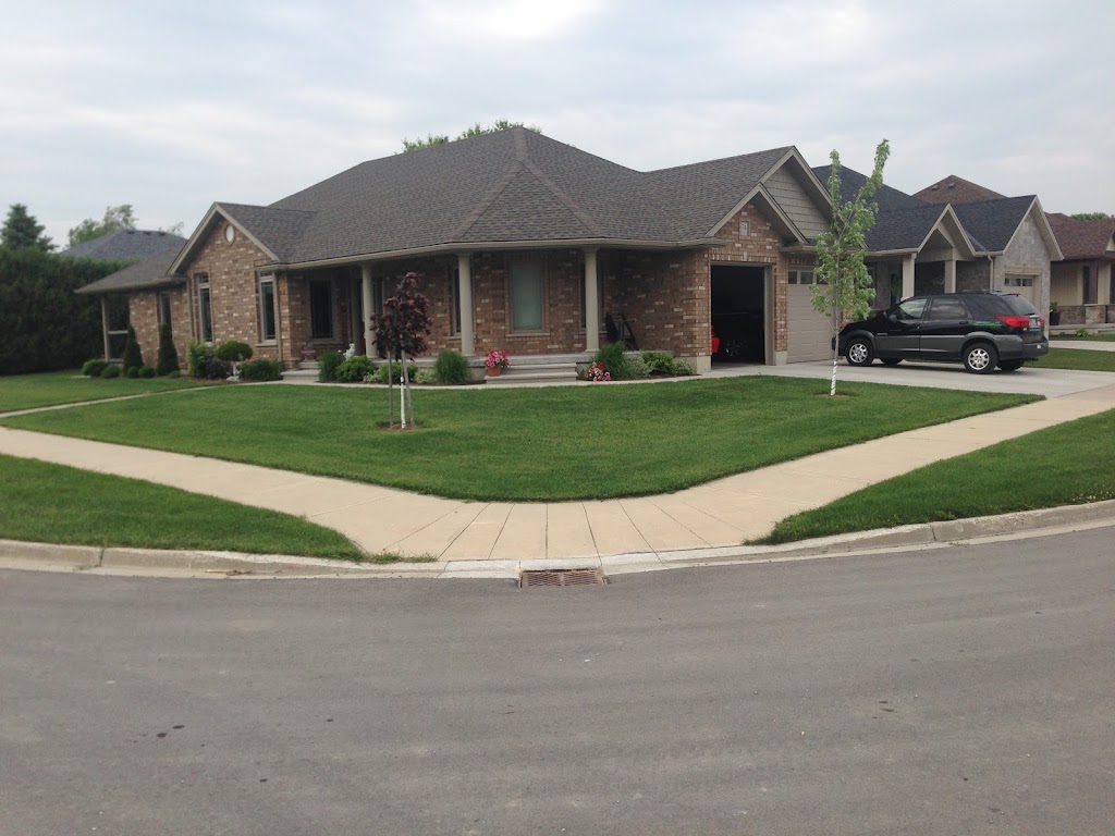 Cropquest Inc | 74 Sylvia St, Mitchell, ON N0K 1N0, Canada | Phone: (519) 348-1121