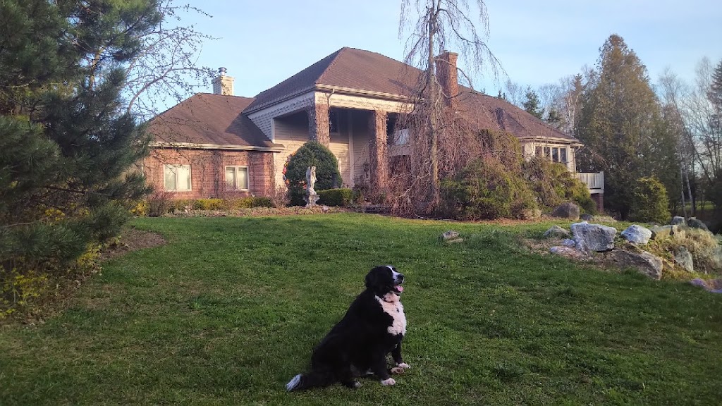 Coldwell Banker Global Luxury | 240 Renshaw Rd, Rothesay, NB E2H 2S3, Canada | Phone: (506) 650-8575