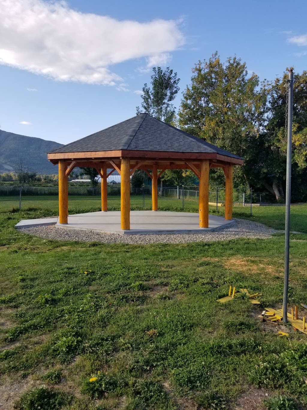 Alphalogandtimber | Tappen Mill Rd, Tappen, BC V0E 2X2, Canada | Phone: (250) 833-6557